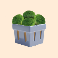 Brocoli