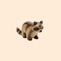 raccoon